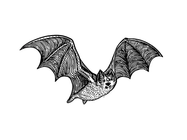 Bat grabado estilo vector ilustración — Vector de stock