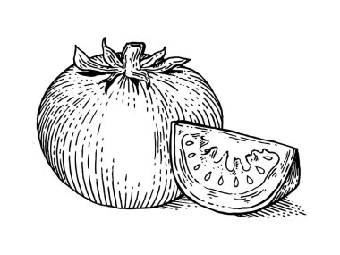 Domates sebze oyma stil vektör