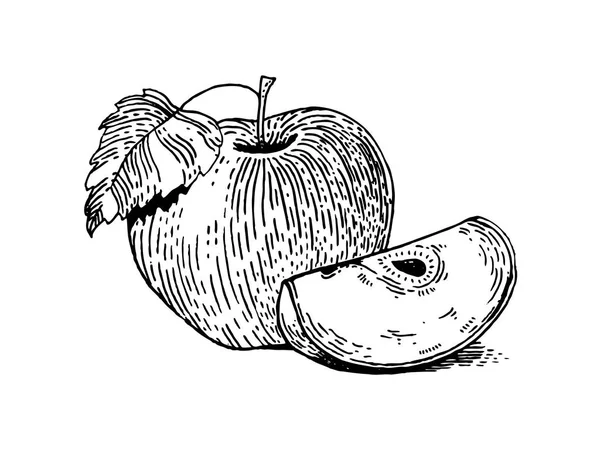 Illustration vectorielle de style gravure de fruits de pomme — Image vectorielle