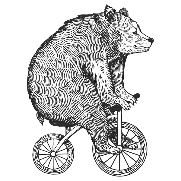 Медведь на векторе стиля гравировки велосипедов — стоковый вектор