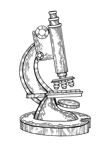 Винтажная гравировка в микроскопе — стоковый вектор
