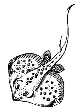 Stingray balık oyma vektör çizim