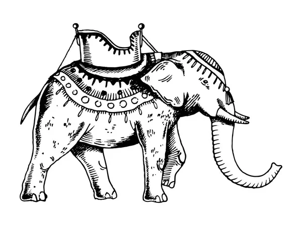 インド象の彫刻のベクトル図 — ストックベクタ