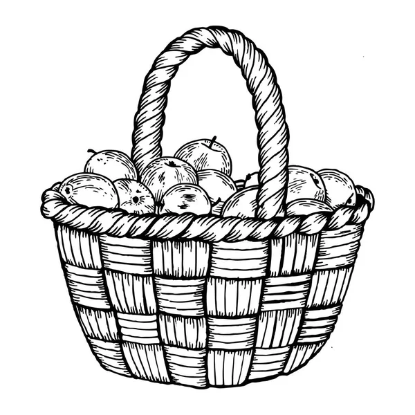 Sepet elma vektör çizim oyma ile