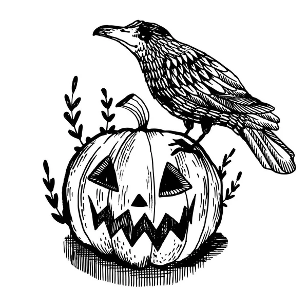 Crow y calabaza grabado vector ilustración — Vector de stock