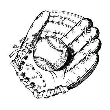 Vektör çizim oyma paten