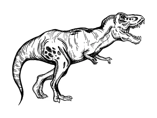 Tyrannosaur engraving vector illustration — Stock Vector