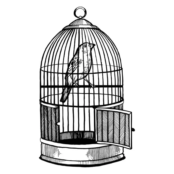 Pájaro canario en jaula grabado vector ilustración — Vector de stock