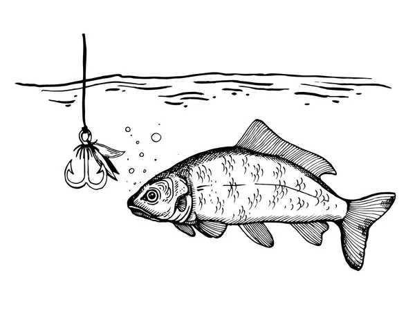 Proceso de pesca grabado vector ilustración — Vector de stock