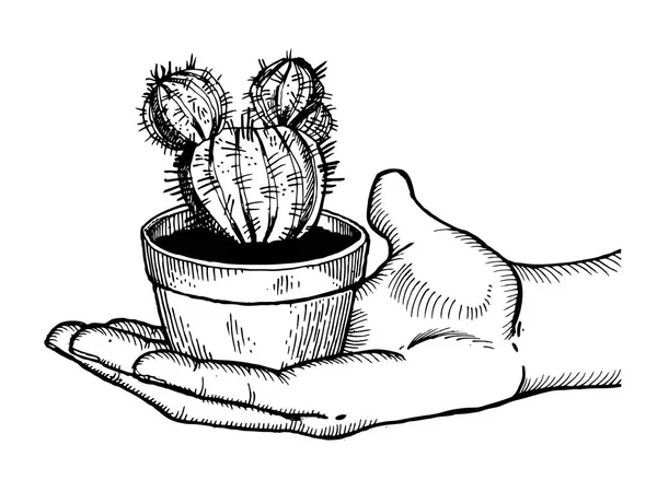 Mano con cactus incisione vettoriale illustrazione — Vettoriale Stock