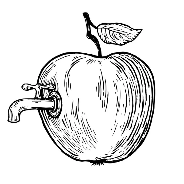 Apple gyümölcs csappal, vektor, ábra gravírozás — Stock Vector