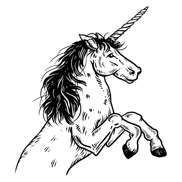 Ilustración de vectores de grabado unicornio — Archivo Imágenes Vectoriales