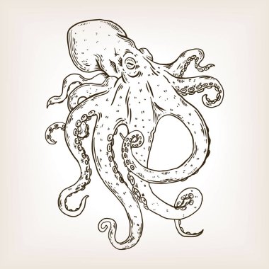 Ahtapot oyma vektör çizim