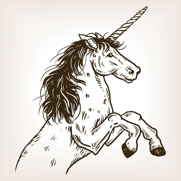 Unicorn engraving vector illustration — Stock Vector