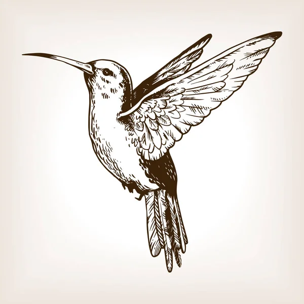 Humming bird Grawerowanie wektor ilustracja — Wektor stockowy