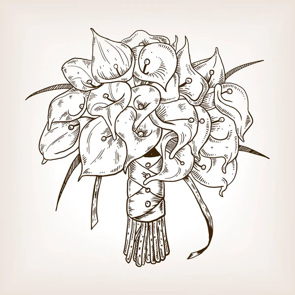 Illustration vectorielle de gravure Calla fleurs — Image vectorielle