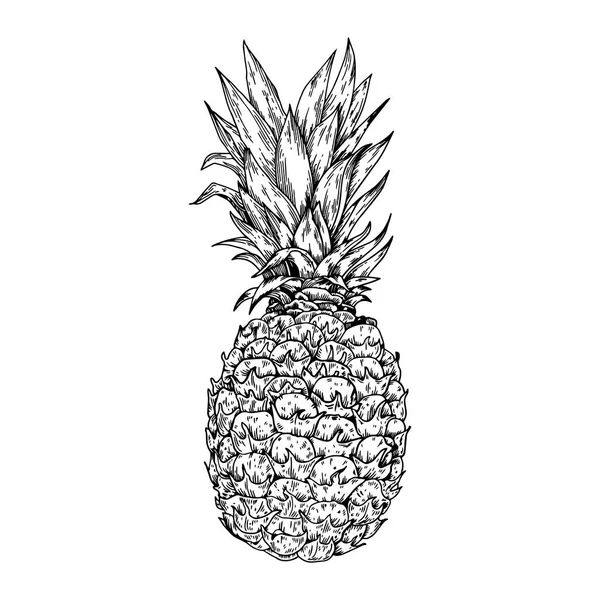 Illustrazione vettoriale dell'incisione dell'ananas — Vettoriale Stock