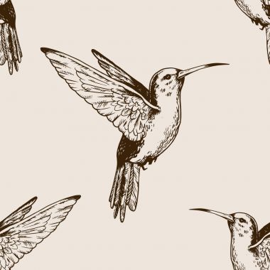 Kuş Dikişsiz desen gravür vektör uğultu