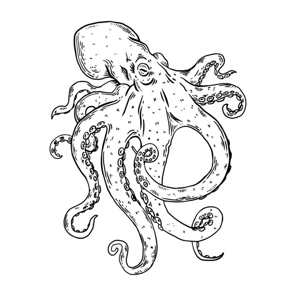Octopus gravírování vektorové ilustrace — Stockový vektor