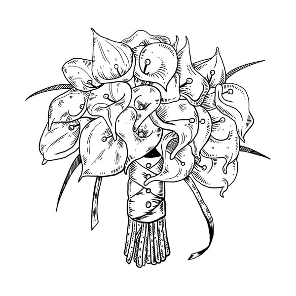 Квіти кали гравірування Векторні ілюстрації — стоковий вектор