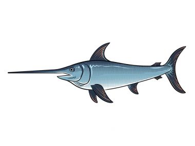 Kılıç balığı pop art vektör çizim