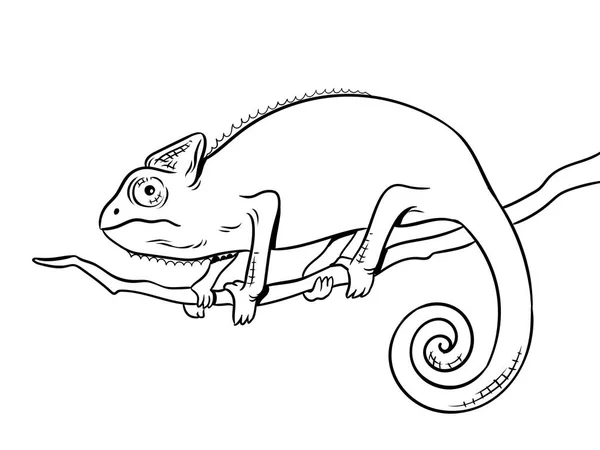 Ilustrasi vektor buku pewarnaan hewan Chameleon - Stok Vektor