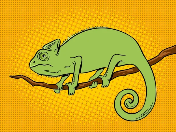 变色龙动物彩色流行艺术矢量插画 — 图库矢量图片
