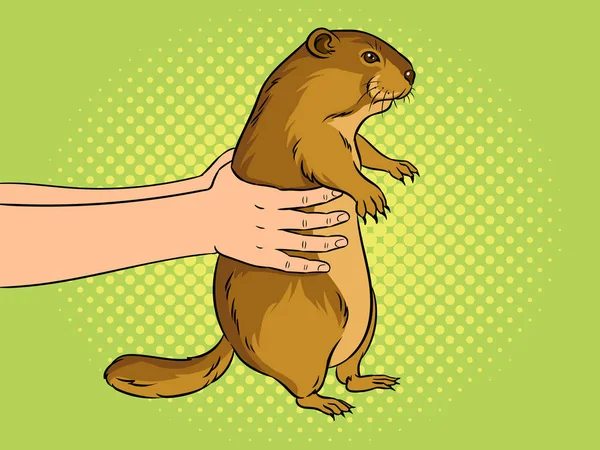 Groundhog στα χέρια ποπ τέχνη διανυσματικά εικονογράφηση — Διανυσματικό Αρχείο