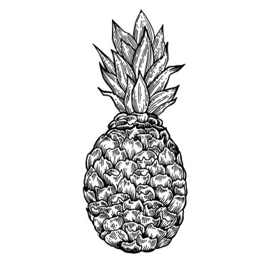 Ananas oyma vektör çizim