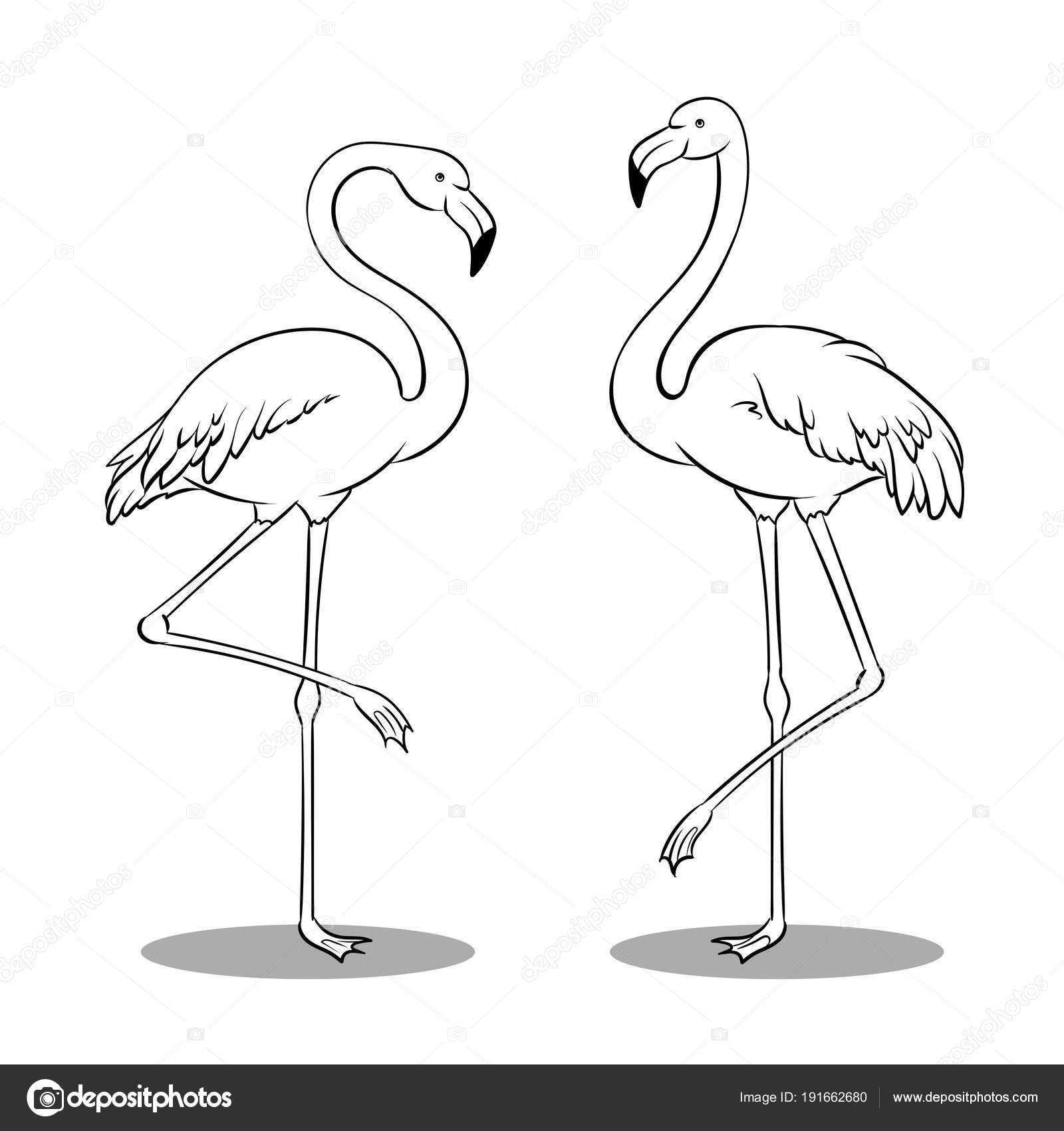 Kleurplaat Flamingo