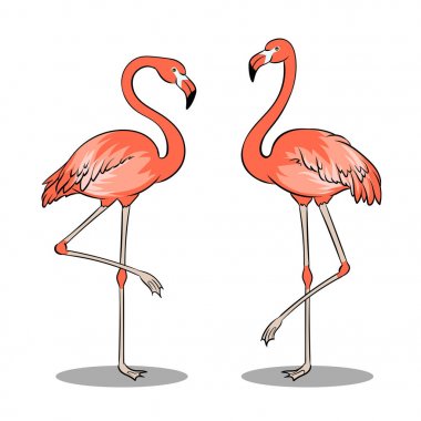 Pembe flamingo kuşu pop art vektör çizim