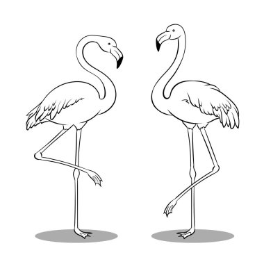 Pembe flamingo kuşu kitap vektör boyama
