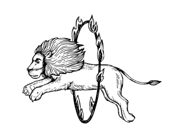 leão e rosa esboço desenhado à mão para livro de colorir adulto 2410065  Vetor no Vecteezy