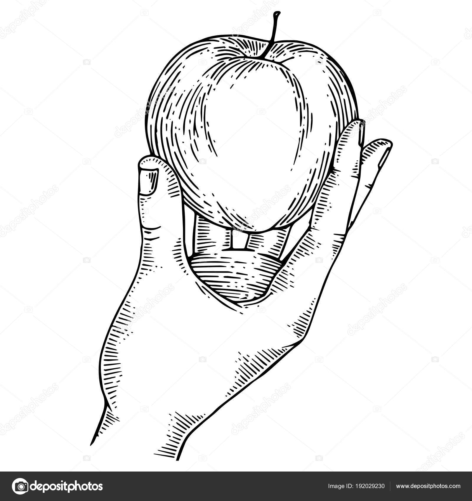 Яблоко в руке рисунок