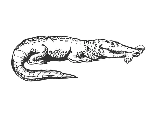 Alligator avec gravure à la main illustration vectorielle — Image vectorielle