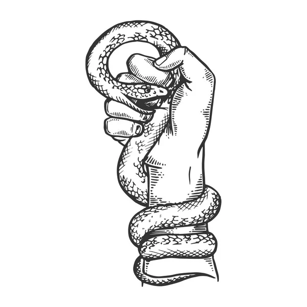 Snake in hand fist engraving vector illustration — Stock Vector