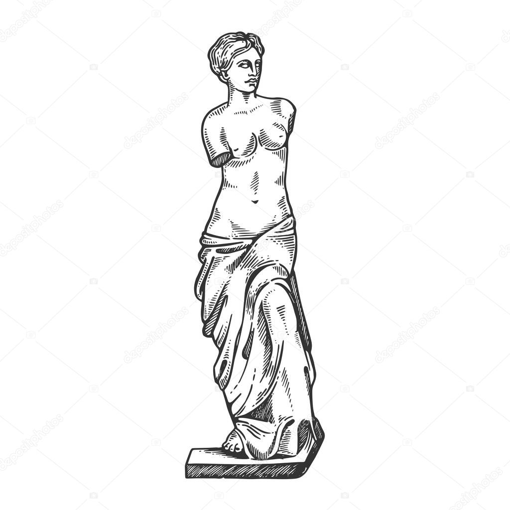 Aphrodite ancient statue engraving vector