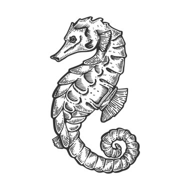 Sea horse hayvan vektör çizim oyma