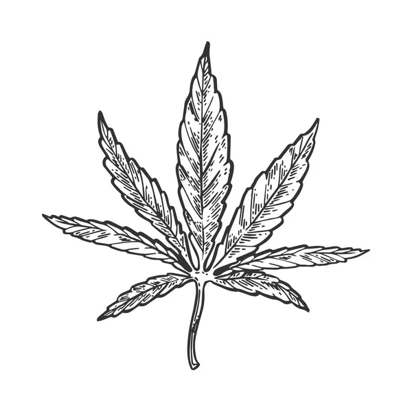 Narcóticos hoja de cannabis grabado vector — Vector de stock