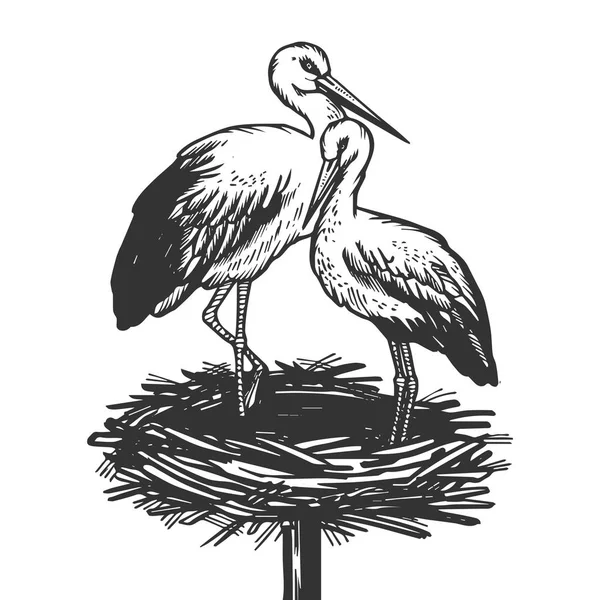 Cigogne dans le nid illustration vectorielle de gravure animale — Image vectorielle