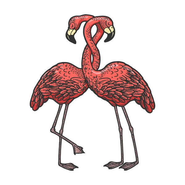 Flamingo oiseaux aiment couple étreinte croquis gravure vectorielle illustration. T-shirt imprimé design. Imitation de style scratch board. Image dessinée à la main noir et blanc . — Image vectorielle