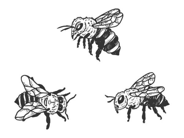 Méhek rovar állat vázlat metszet vektor illusztráció. Póló mintás ruha. Kaparós tábla stílusú utánzat. Fekete-fehér kézzel rajzolt kép. — Stock Vector