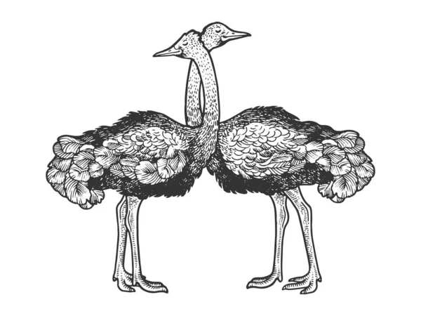 Ostrich birds love couple hug sketch engraving vector illustration. T-shirt apparel print design. Scratch board style imitation. Black and white hand drawn image. — Stock Vector