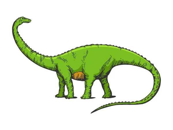 Diplodocus dinosaurio prehistórico animal extinto boceto grabado vector ilustración. Diseño de estampado de ropa de camiseta. Scratch board imitación. Imagen dibujada a mano en blanco y negro . — Archivo Imágenes Vectoriales