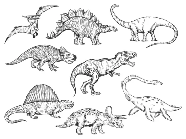 Dinoszaurusz készlet vázlat gravírozás vektor illusztráció. Póló mintás ruha. Kaparós tábla stílusú utánzat. Fekete-fehér kézzel rajzolt kép. — Stock Vector