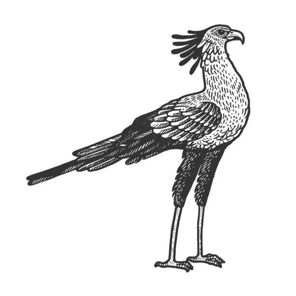 새 의 동물 스케치 벡터 삽화를 그리는 비서. 티셔츠 의류 인쇄 디자인. 마커 보드 스타일의 모조품. 손으로 그린 그림. — 스톡 벡터