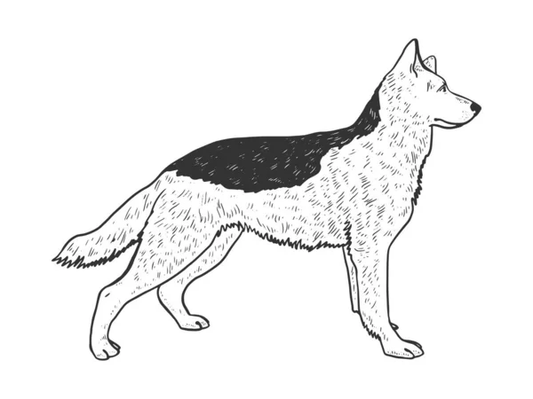 Hund Schäferhund Tier Skizze Gravur Vektor Illustration. T-Shirt-Print-Design. Rubbellos-Imitat. Handgezeichnetes Schwarz-Weiß-Bild. — Stockvektor