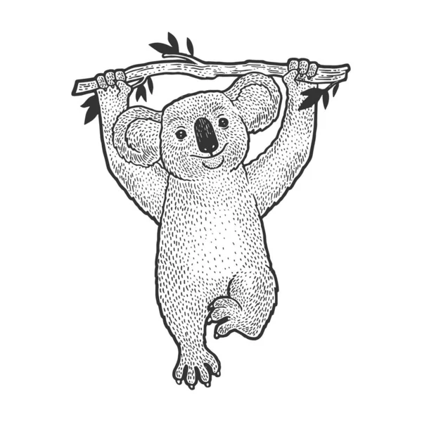 Koala beer dier op boom schets graveren vector illustratie. T-shirt kleding print ontwerp. Krasplank imitatie. Zwart en wit met de hand getekend afbeelding. — Stockvector