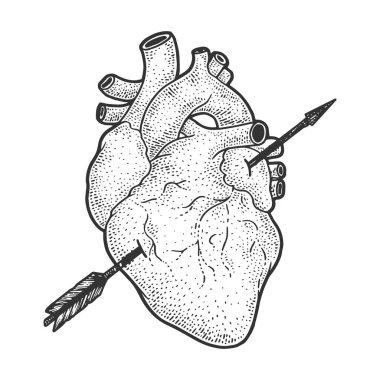 Kalp gerçekçiliği, ok çizimi, vektör çizimi ile delinmiş. Romantik aşk hastalığının sembolü. Tişört giysisi baskısı tasarımı. Çizik tahtası taklidi. Siyah beyaz el çizimi resim.