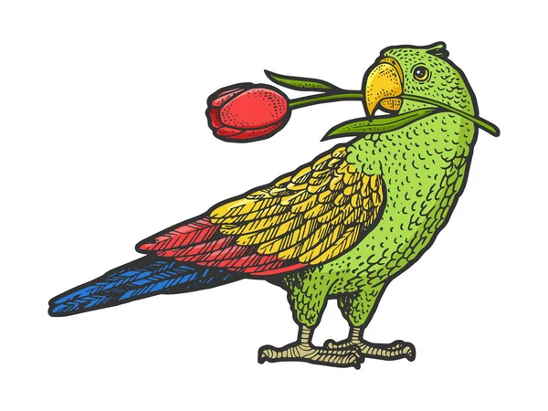 Oiseau perroquet avec fleur de tulipe dans son bec croquis gravure vectorielle illustration. T-shirt imprimé design. Imitation de style scratch board. Image dessinée à la main . — Image vectorielle